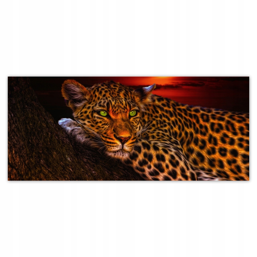 

Fototapety flizelina 211x91 Lampart Pantera