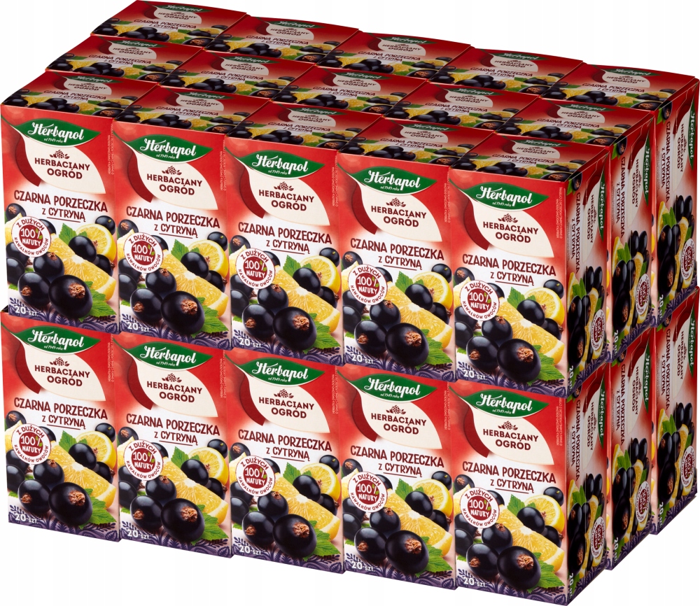 Herbapol herbata owocowa Czarna porzeczka x30