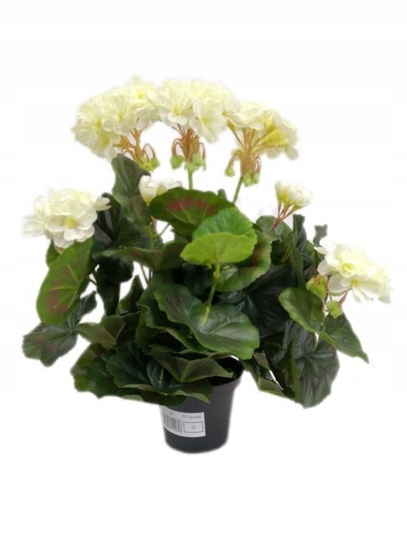

Pelargonia Sztuczna W Doniczce (613.07) Krem-biel