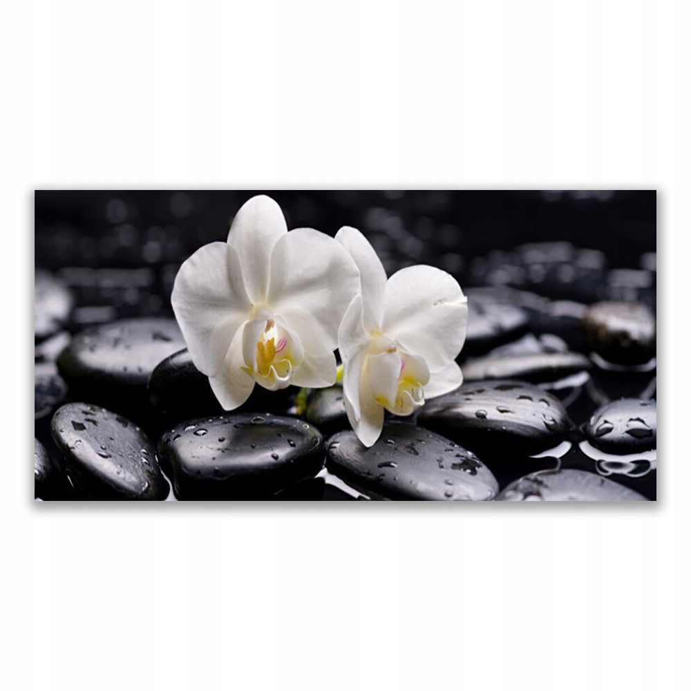 

Fotoobraz z grafiką 120x60 Zen Biały Storczyk Spa