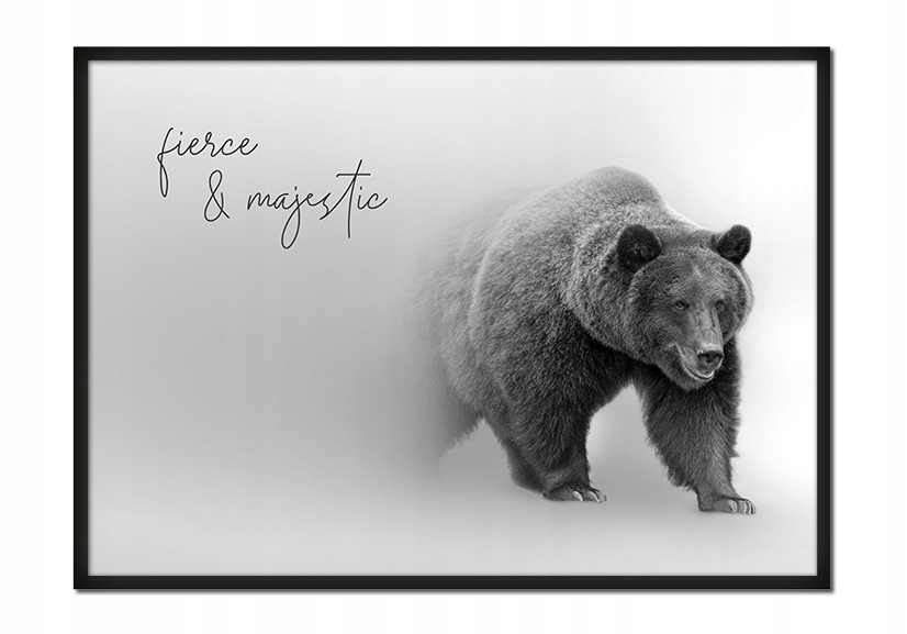 

Obraz Plakat W Ramie 43x33 cm Zwierzęta P622