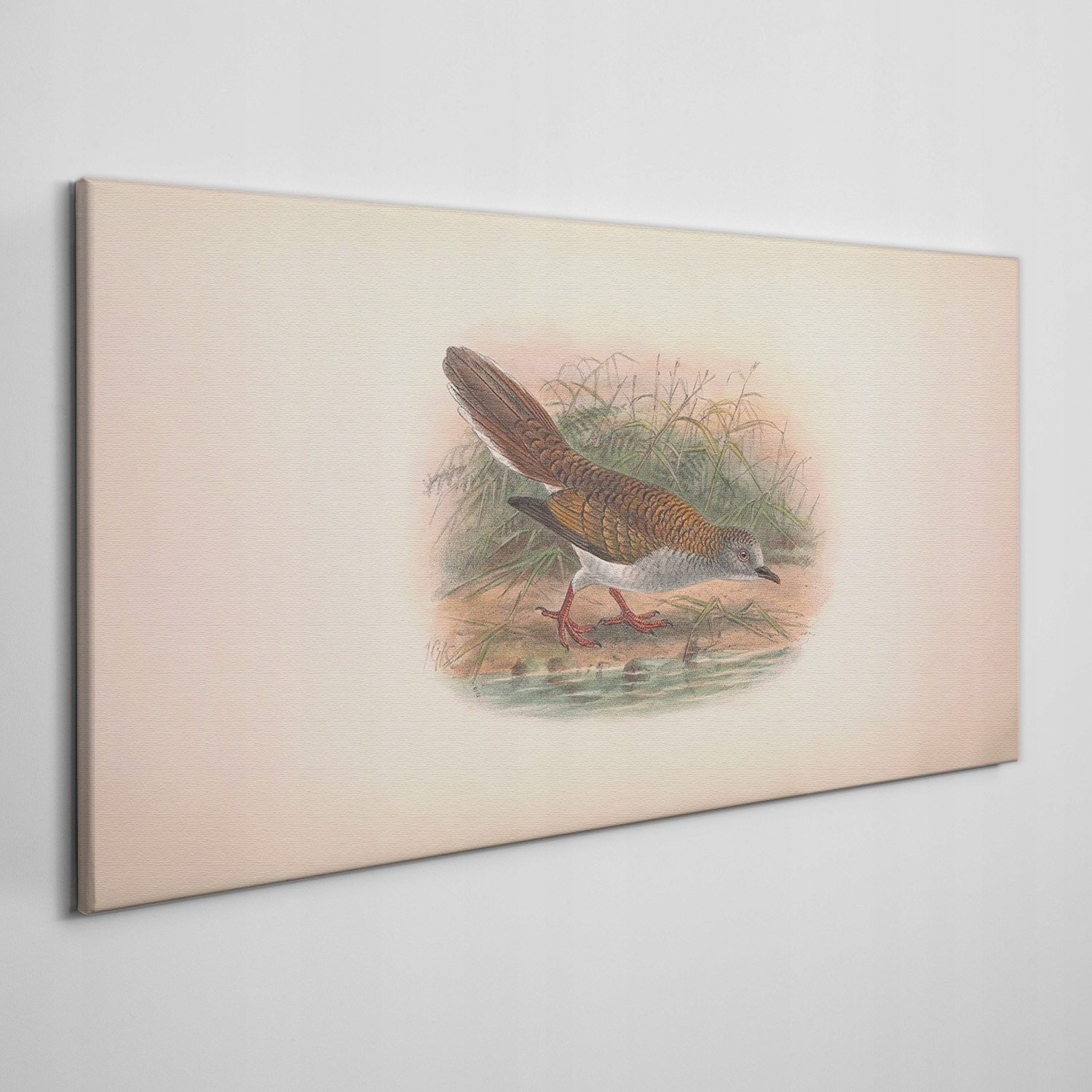 

Obraz na płótnie Ptaki zwierzęta rysunek 100x50 cm
