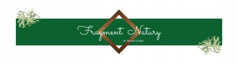 Obraz na płótnie Afro 60x60 Wysokość produktu 60 cm