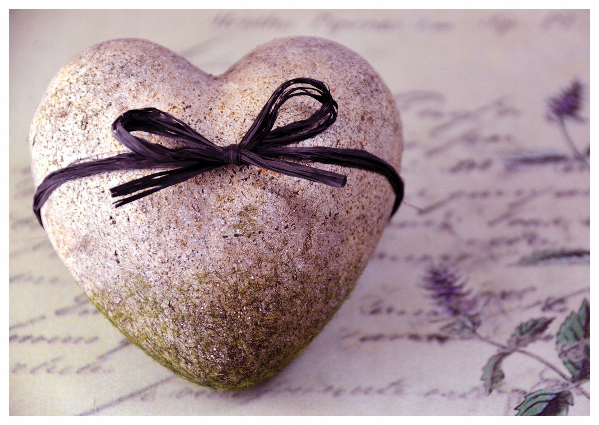 Vliesová fototapeta Kamenné srdce vintage Rostliny text 250x175 lepidlo