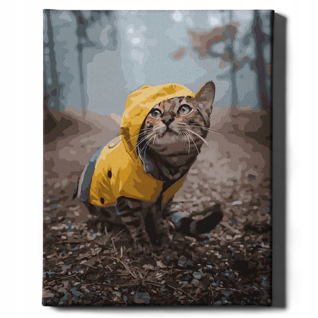 Malování Podle Čísel Kočka Obrázky Pro Malování podle čísel S Rámem Oh Art