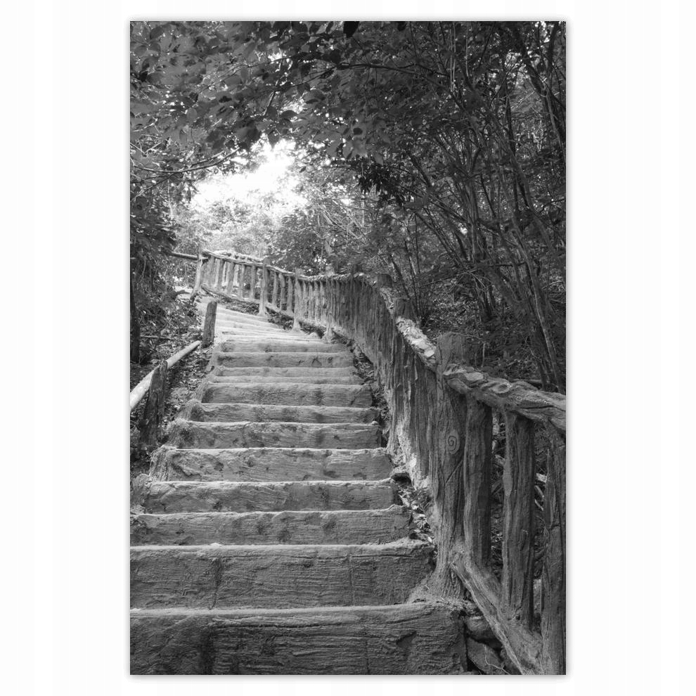 

Plakat 62x93 Schody w tropikach