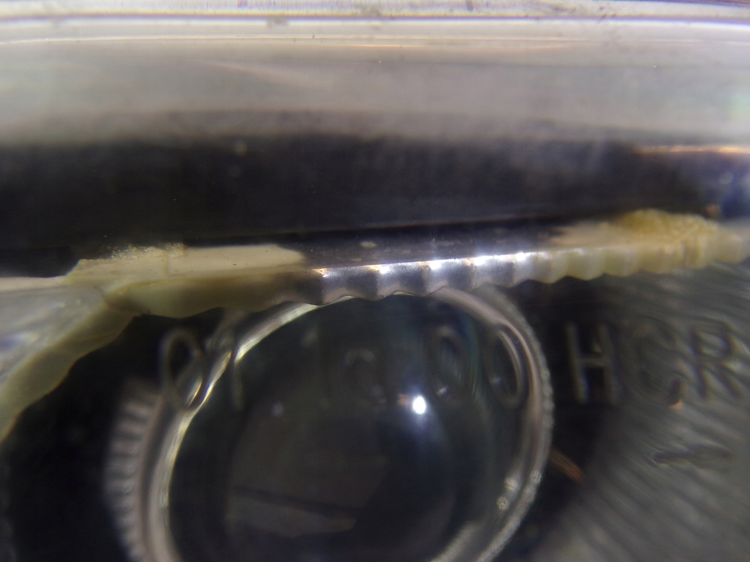 light front front right BMW E39 RINGI XENON (1) (K1)