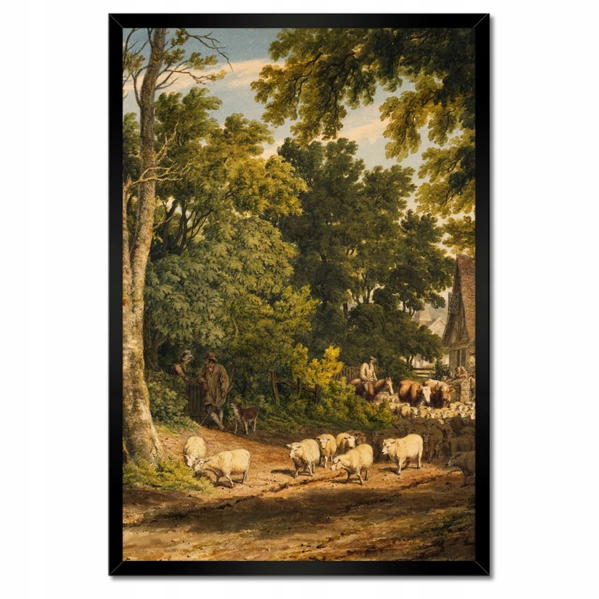 Plakáty v rámu 40x60 Ovce ovečky