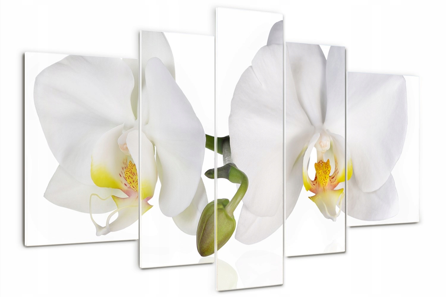 

Foto Obraz szklany tryptyk nowoczesny Orchidea