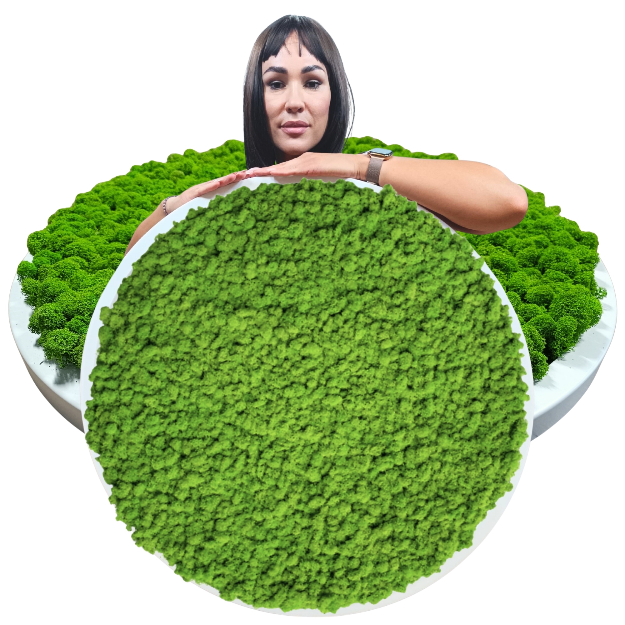 Obraz v dřevěném kulatém bílém rámu S Mechem Chrobotkem, průměr 80 cm