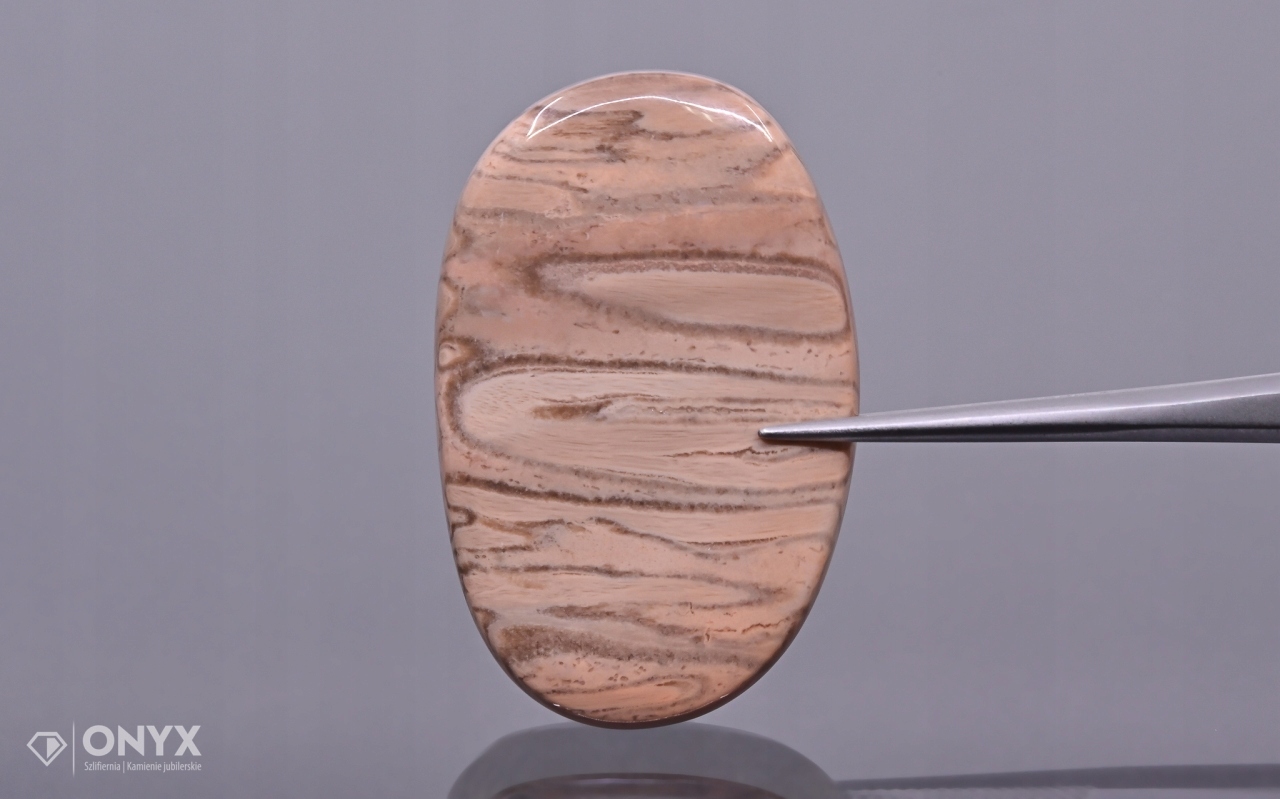 Zkamenělá palma konvexní nepravidelná dlažba 35x23 mm