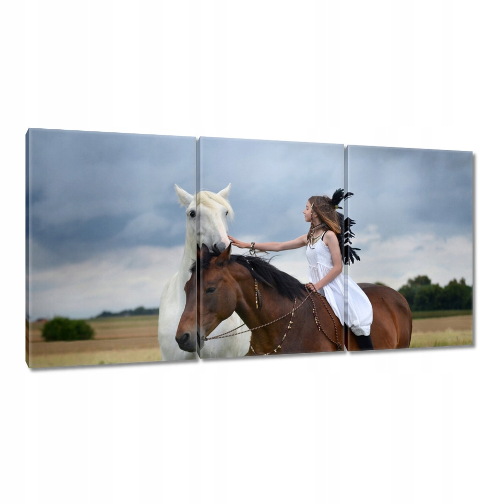 

Obrazy 120x60 Koń Konie Jeździectwo