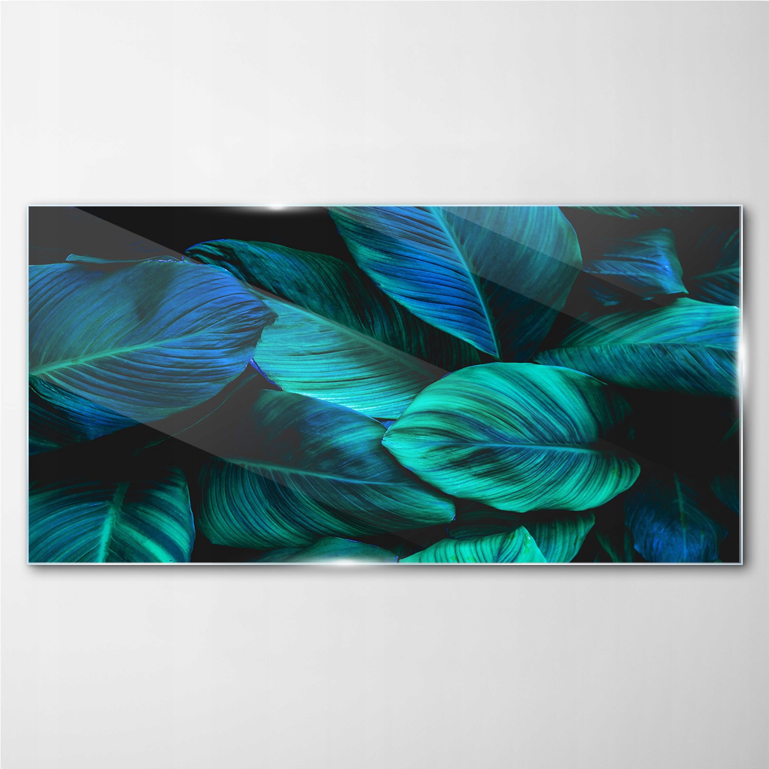 

Foto-obraz szklany Kwiat liście roślina 140x70 cm