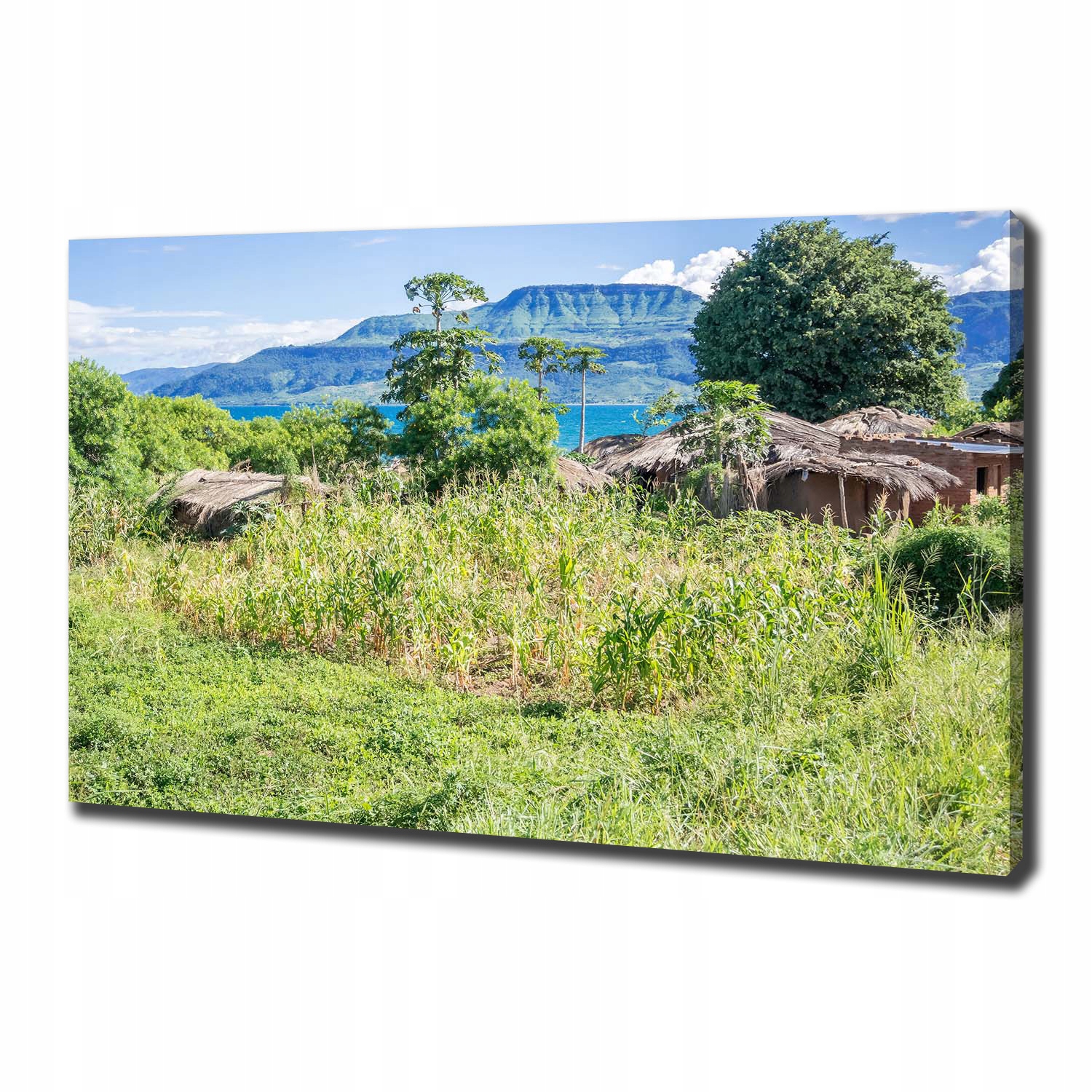 

Foto obraz na płótnie Jezioro Malawi 100x70 cm