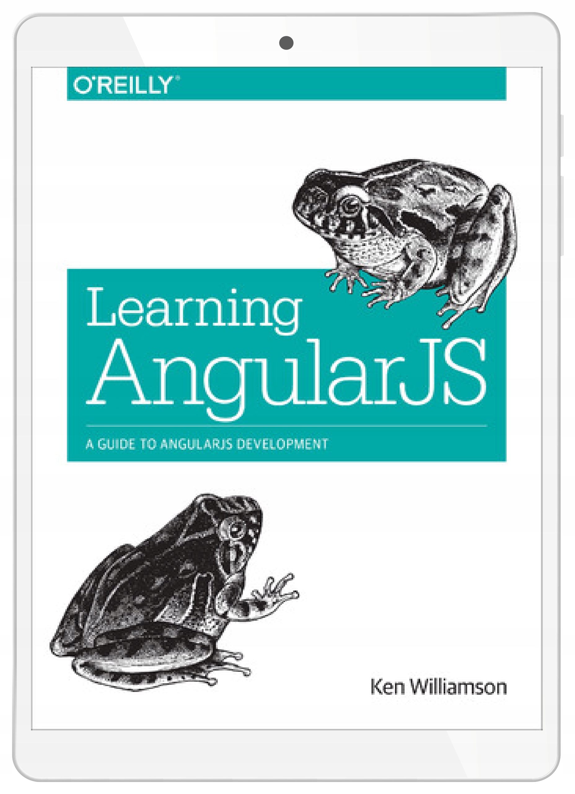 Learning AngularJS. A Guide to AngularJS