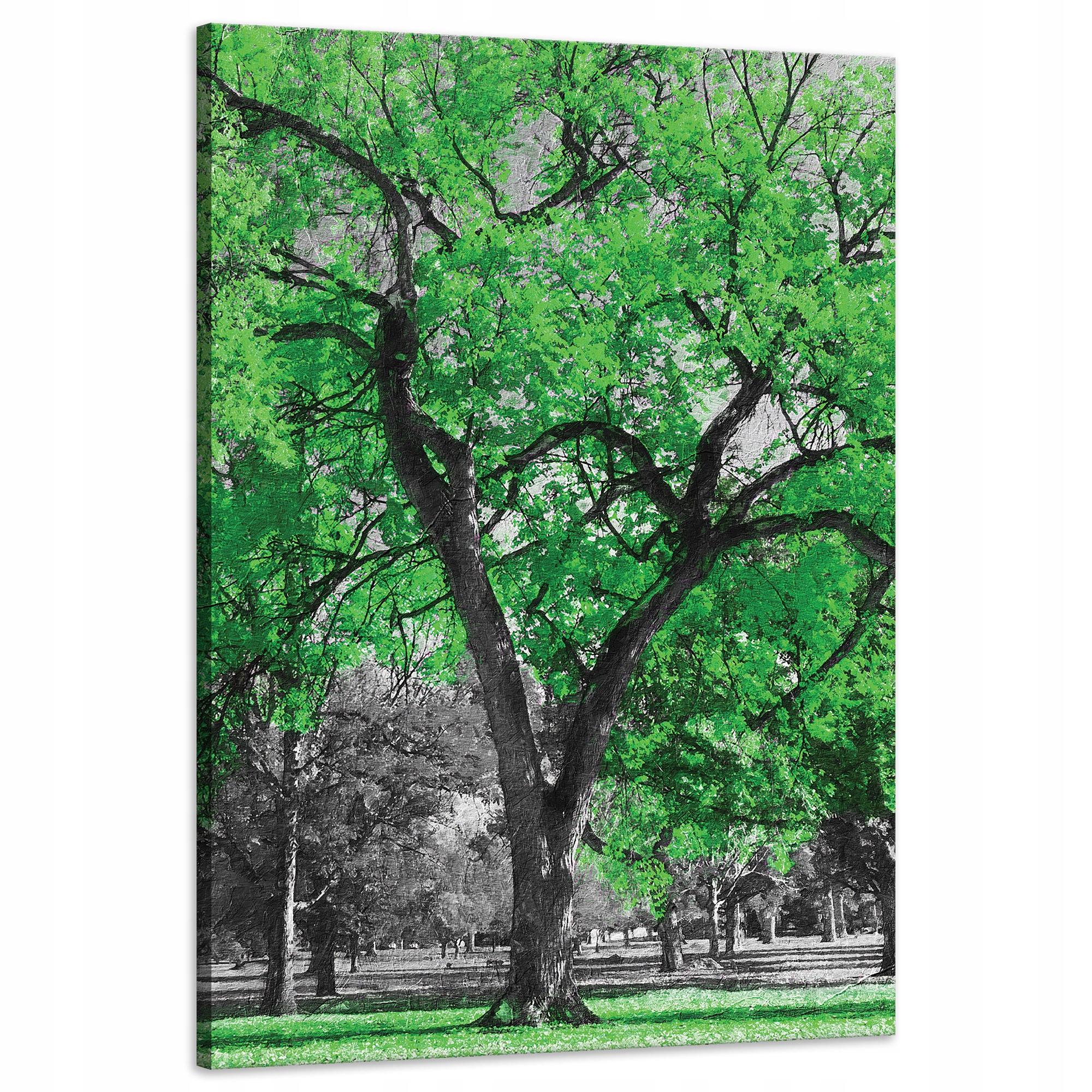 Obraz na plátně Černé Stromy Zelené Listy Umění 60x90 cm