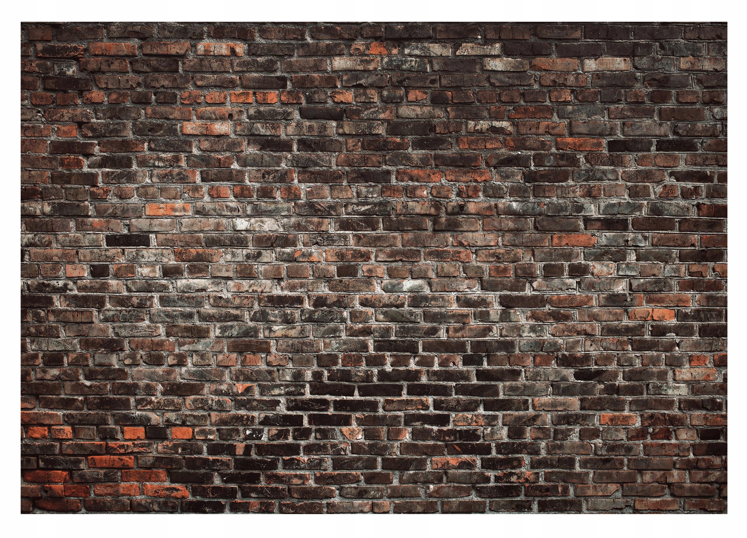 Fototapeta Stará Zeď 3D Vintage Cihly 416x254