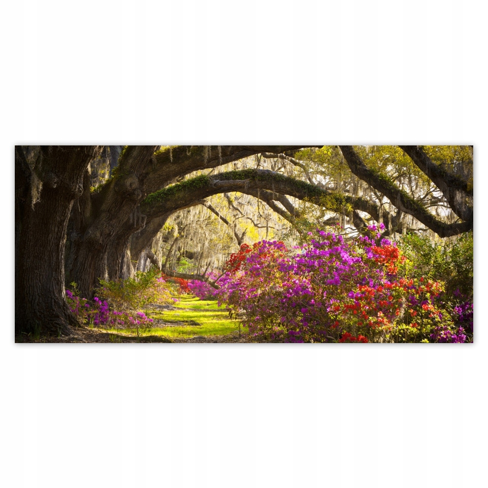 

Fototapety flizelina 211x91 Kwiaty w parku