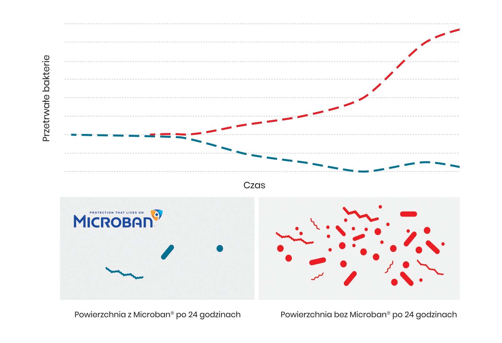 UZDATNIACZ WODY CAŁY DOM SZNUREK WĘGIEL ZMIĘKCZACZ Rodzaj filtr