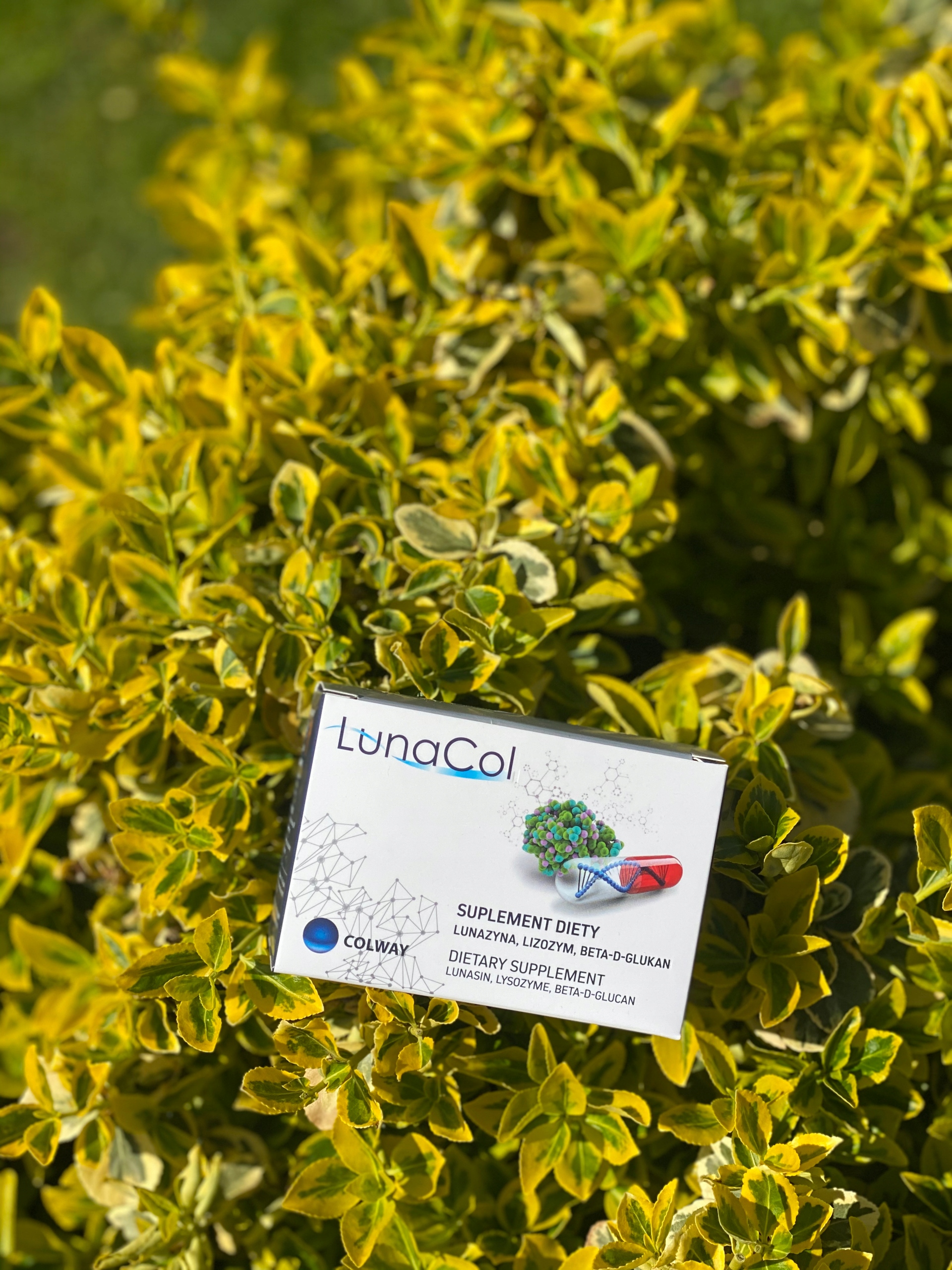 LunaCol COLWAY Lunazyna+ Lizozym (muramidaza) +Beta-D-Glukan 60 k.+ PREZENT Postać kapsułki