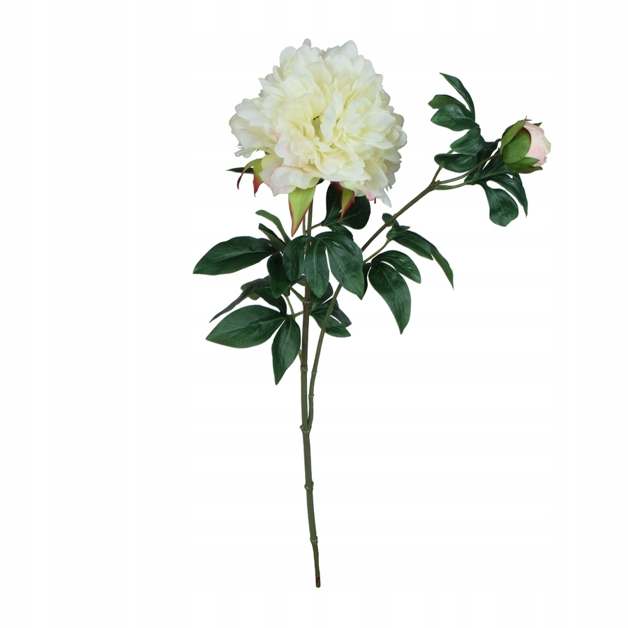 

Peonia kremowa gałązka 70cm do wazonu sztuczna
