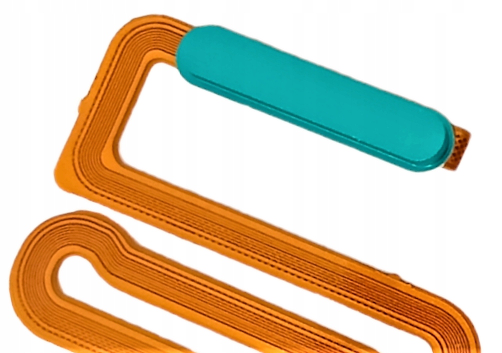 TAŚMA PRZYCISK POWER CZYTNIK LINII PAPILARNYCH DO SAMSUNG M12 ZIELONY Rodzaj przycisku inny