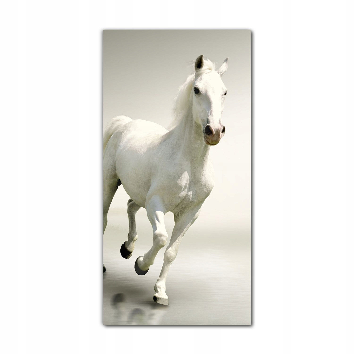 

Obraz szklany grafika do salonu 70x140 Biały koń