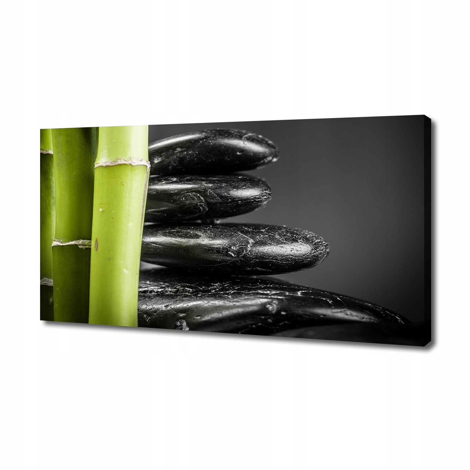 

Foto obraz duży canvas na ścianę Bambus 140x70 cm
