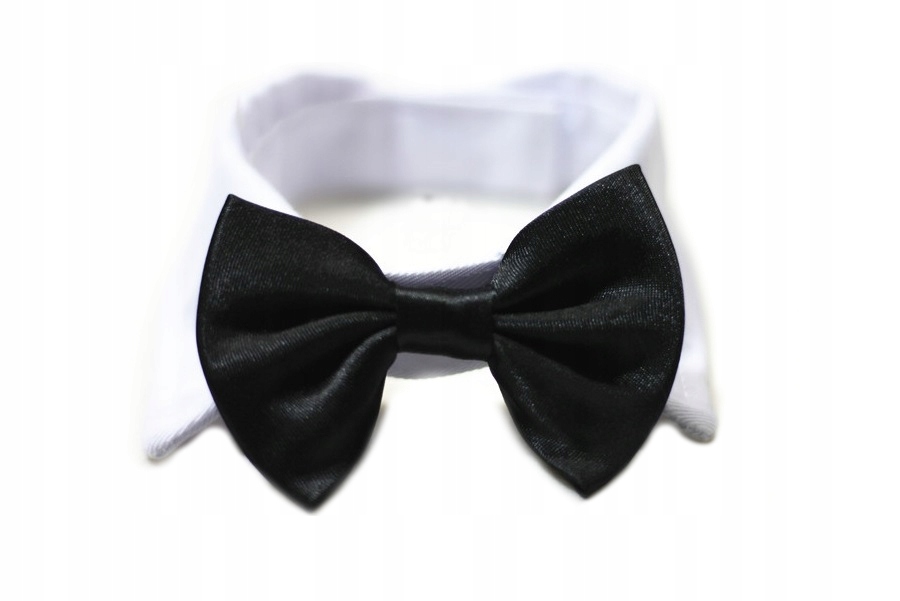 

Muszka Dla Psa Kota Regulowana Czarny L