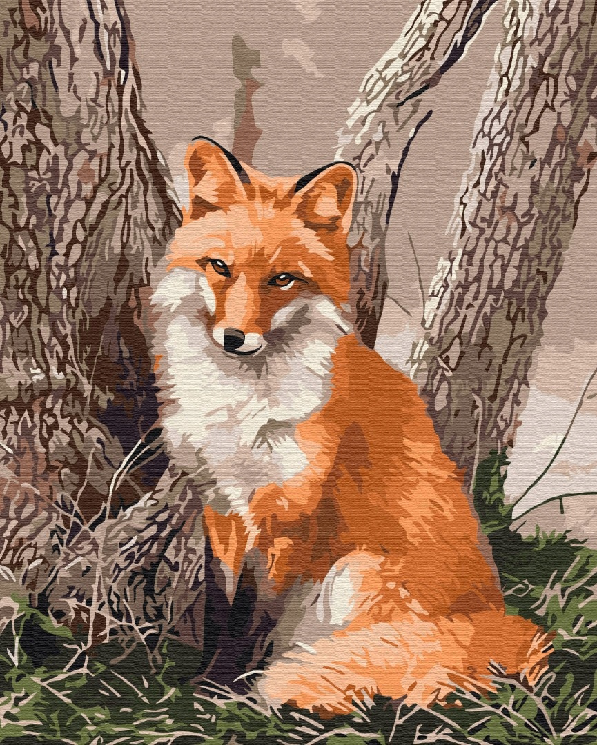 Malování podle čísel Paint it! Liška 40x50 cm