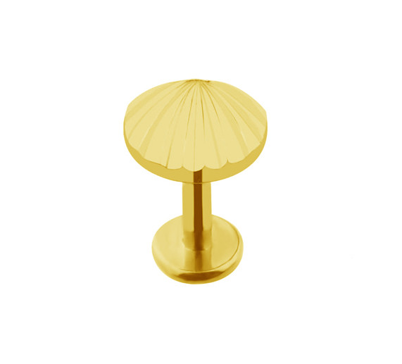 

Tytanowy labret złota muszla helix conch 1,2/6