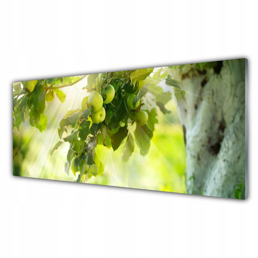 

Obraz z grafiką 125x50 Jabłka Gałąź Drzewo Natura