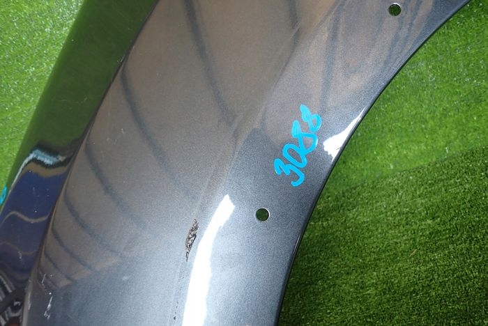 DACIA LOGAN SANDERO II STEPWAY 12- fender left front front
