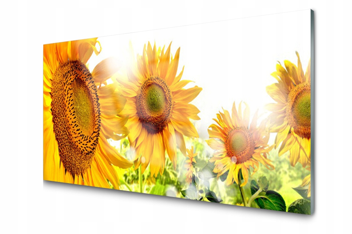 

Panel szklany Płytka Słonecznik Kwiat 120x60