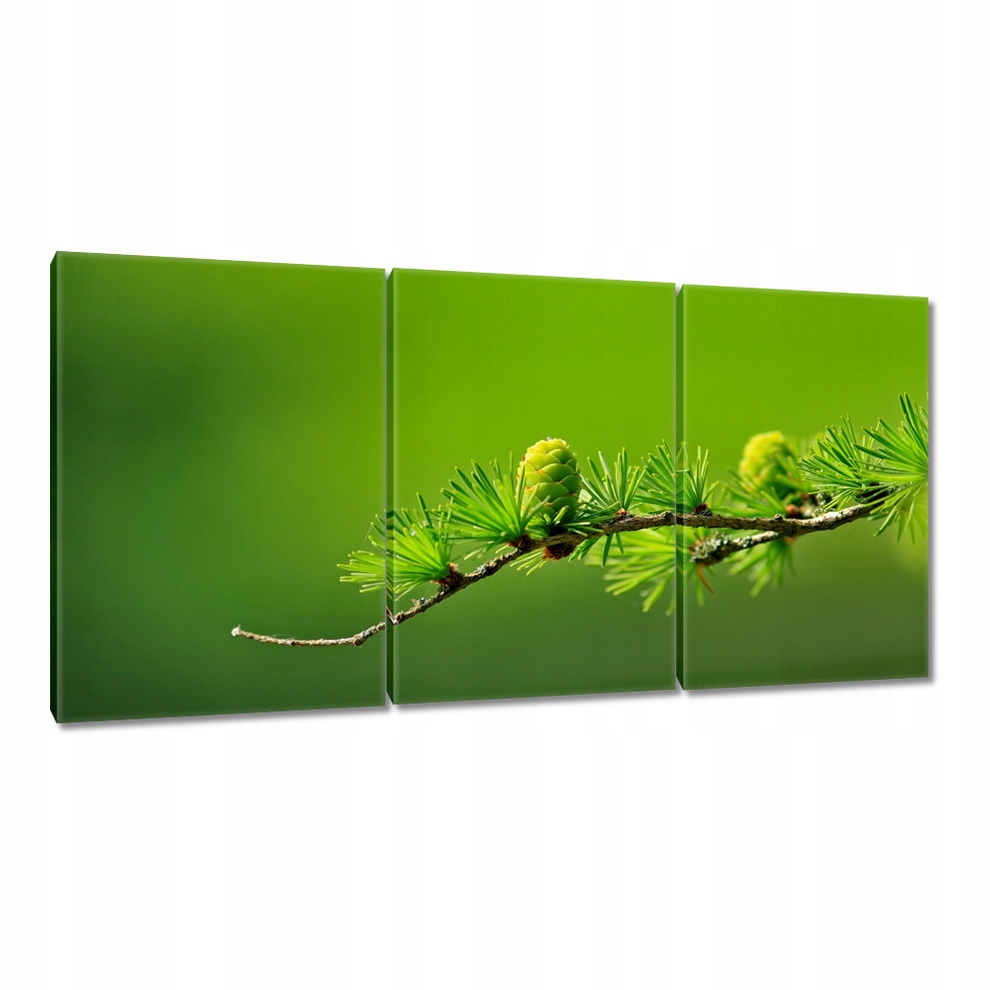 

Obrazy 120x60 Drzewo Drzewa Widok