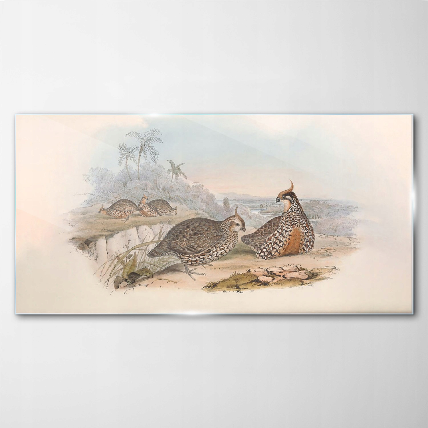 

Szklany obraz Ptaki zwierzęta, rysunek 100x50 cm