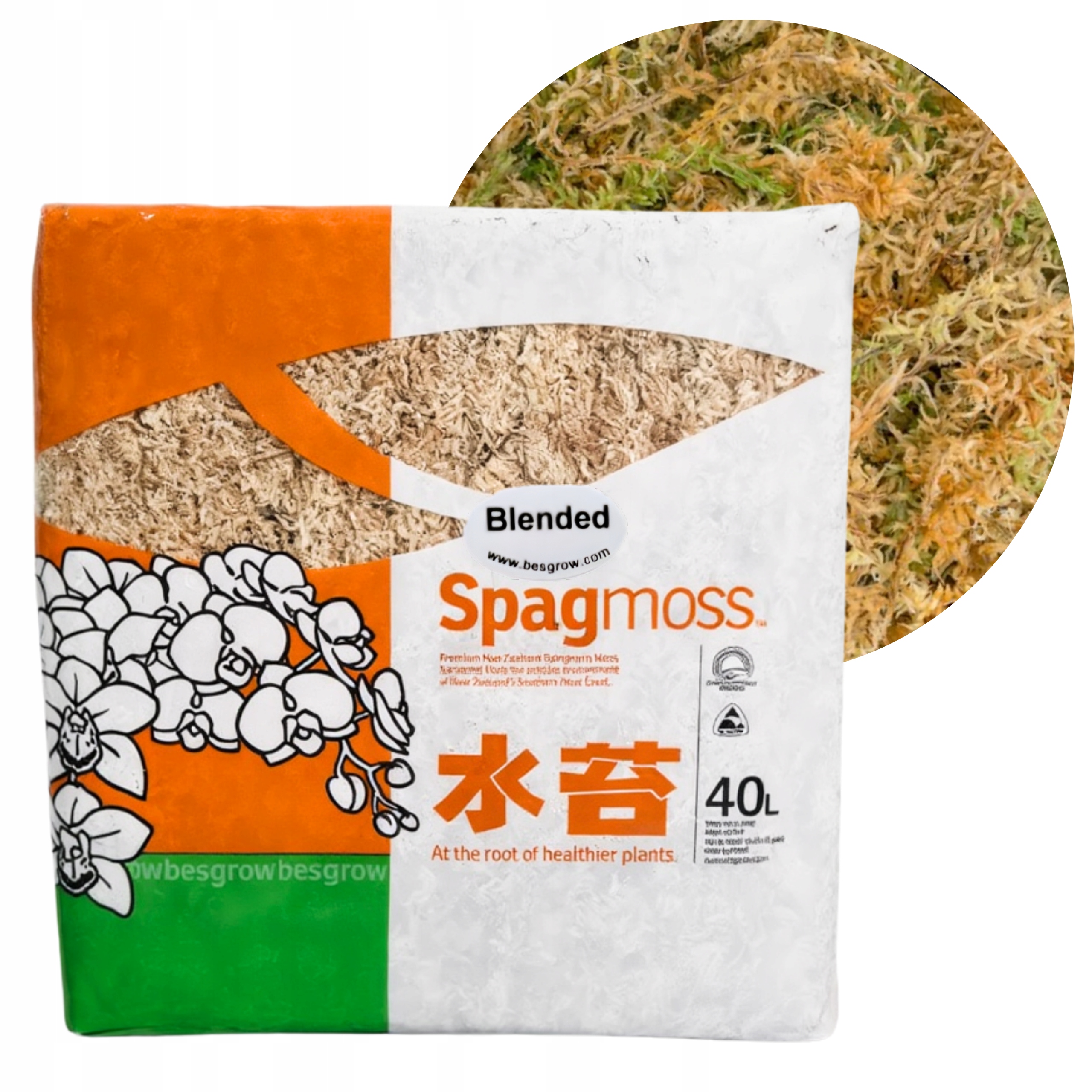 Mech Sphagnum Rašelinový Besgrow SpagMoss 500 g 40 l Mechový substrát