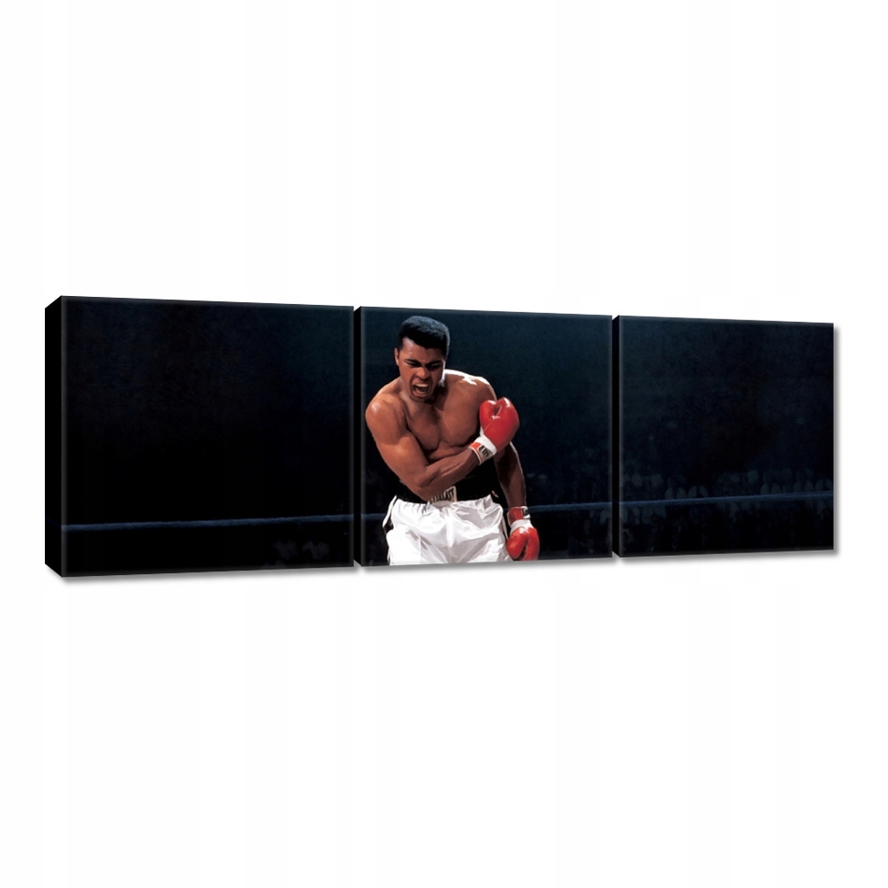 

Obrazy 120x40 Muhhamad Ali Bokser Walka