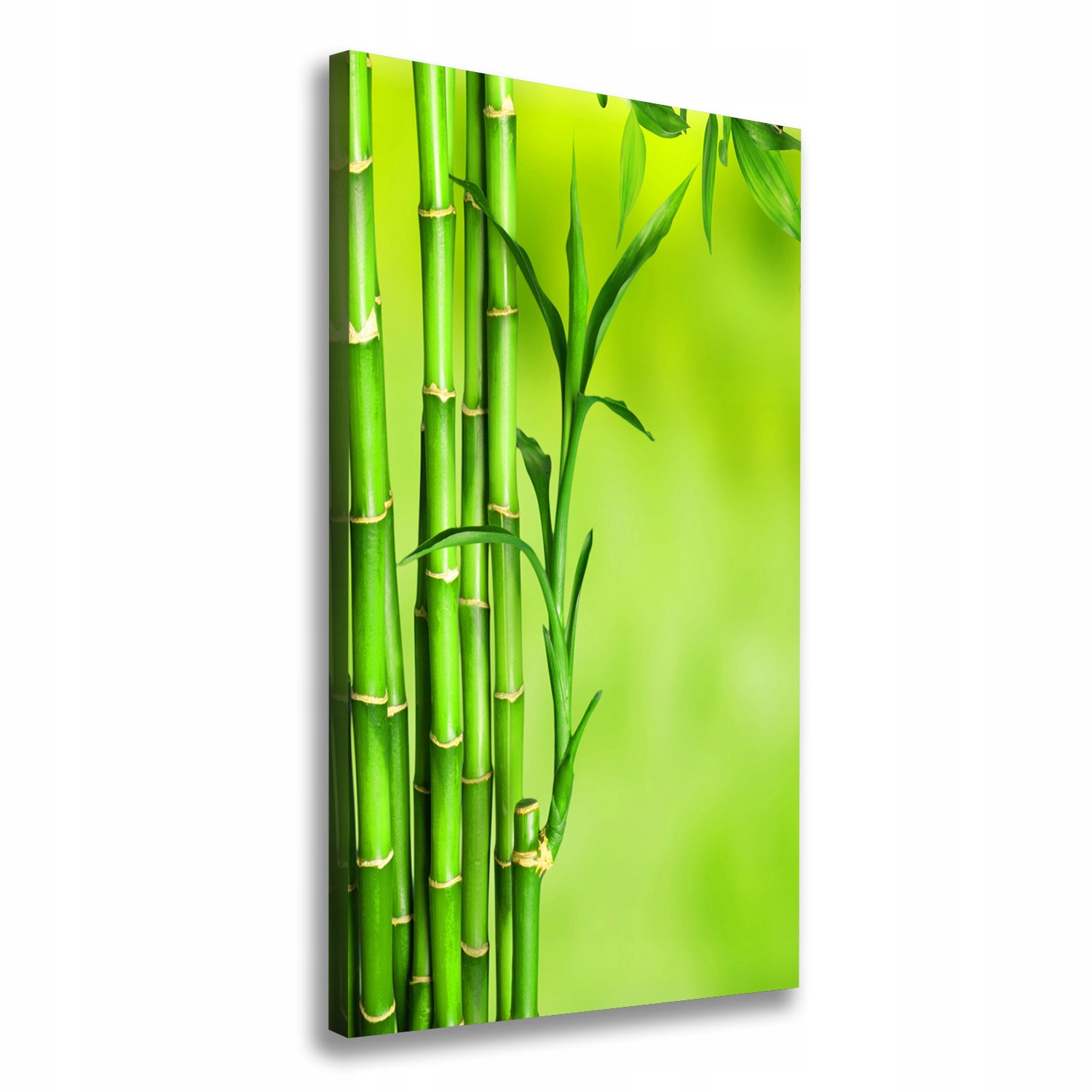 

Nowoczesny fotoobraz canvas na ramie Bambus 70x140