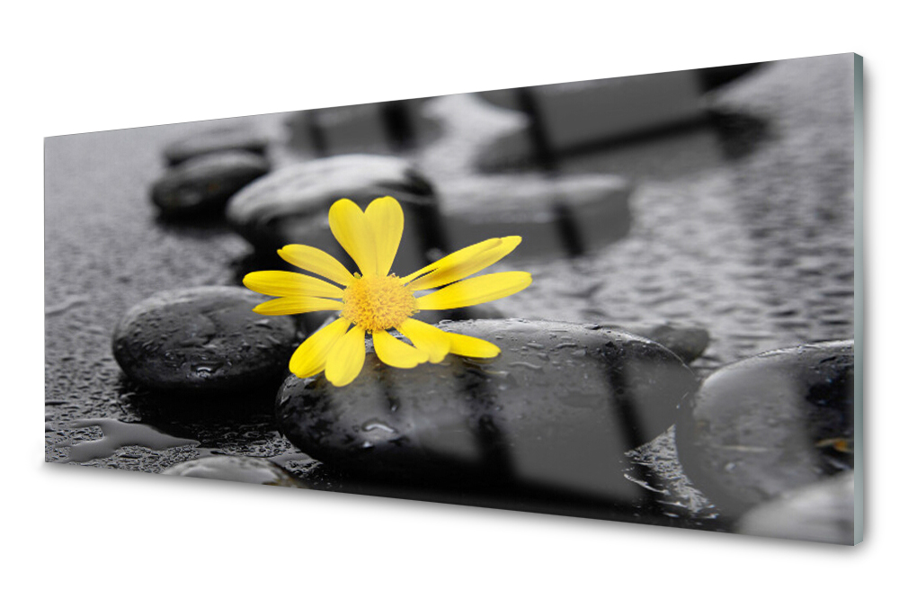 

Panel szklany do kuchni Kwiat Roślina Spa 125x50