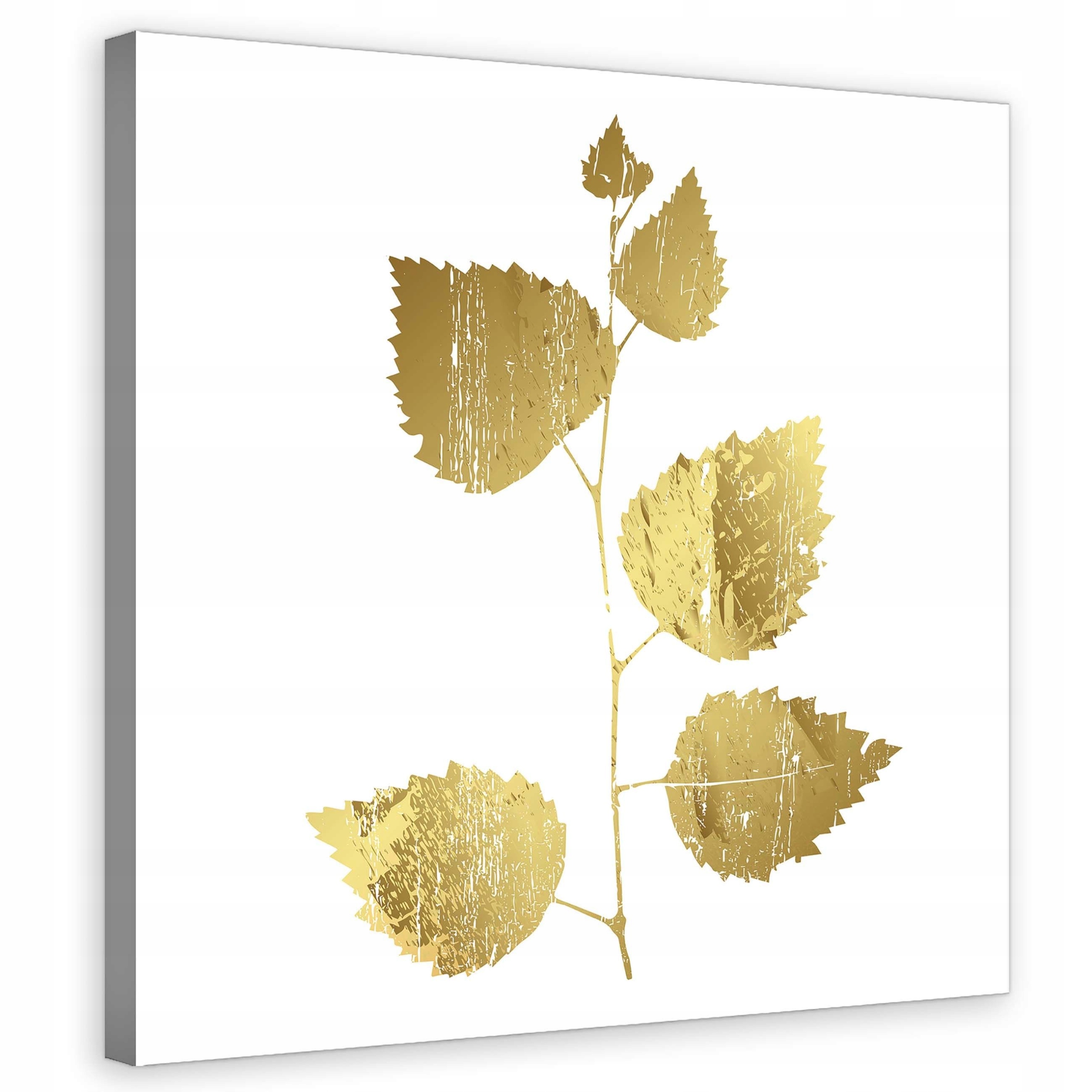 Obraz 80x80 Zlato listy větvička bílé pozadí minimalismus elegance luxus
