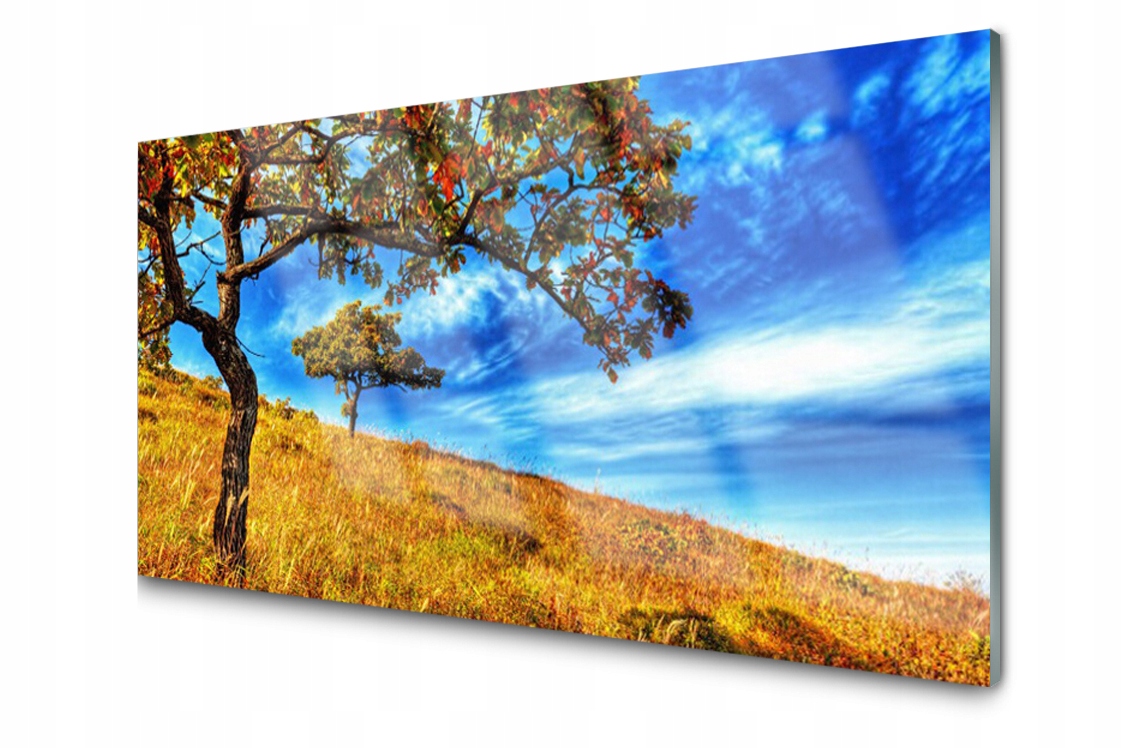 

Panel szklany Płytka Łąka Drzewo 140x70 + Klej