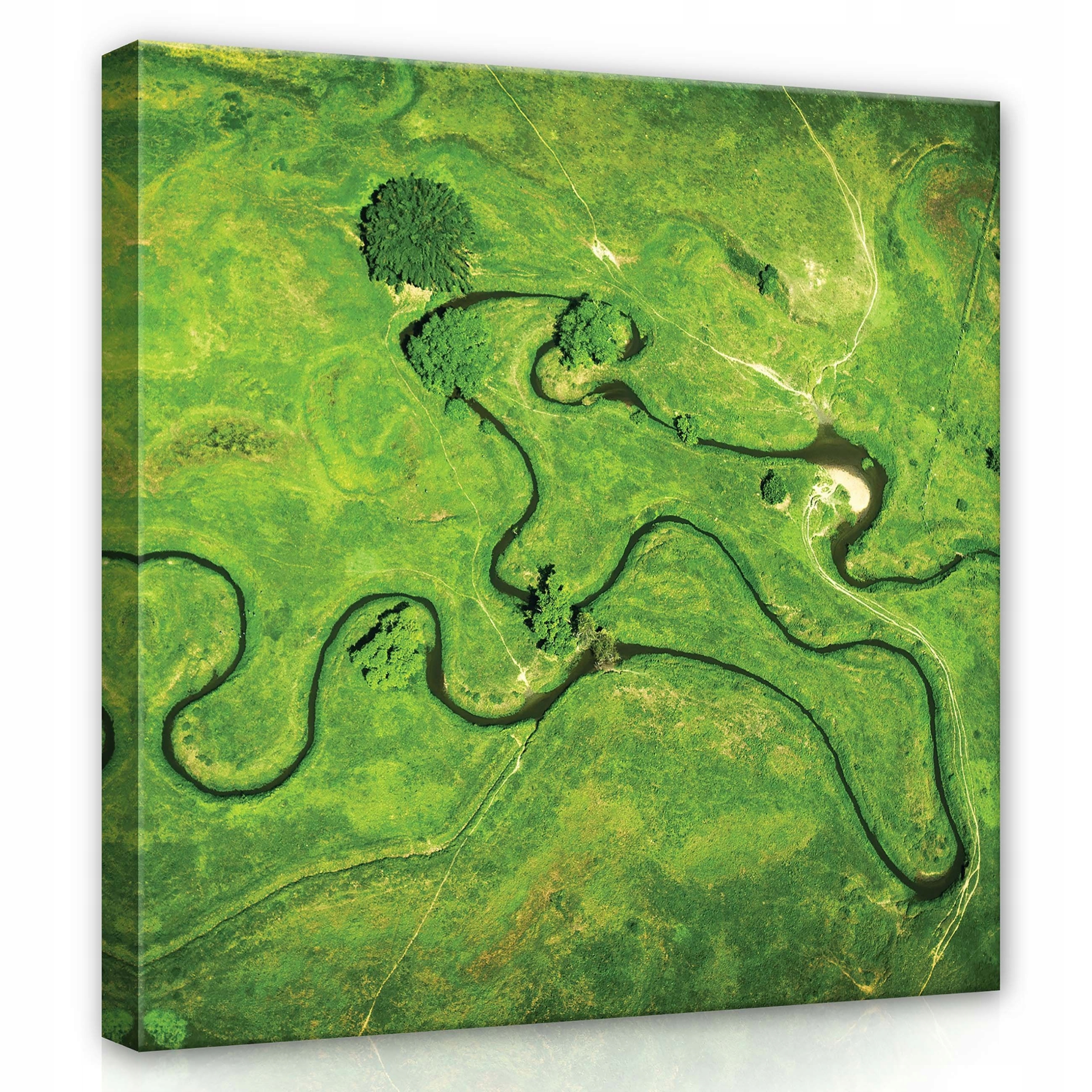 Obraz 80x80 Křivá řeka zelená krajina pohled shora příroda klid