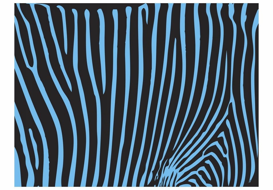 

Fototapeta - Zebra pattern (turkus) - 400X309