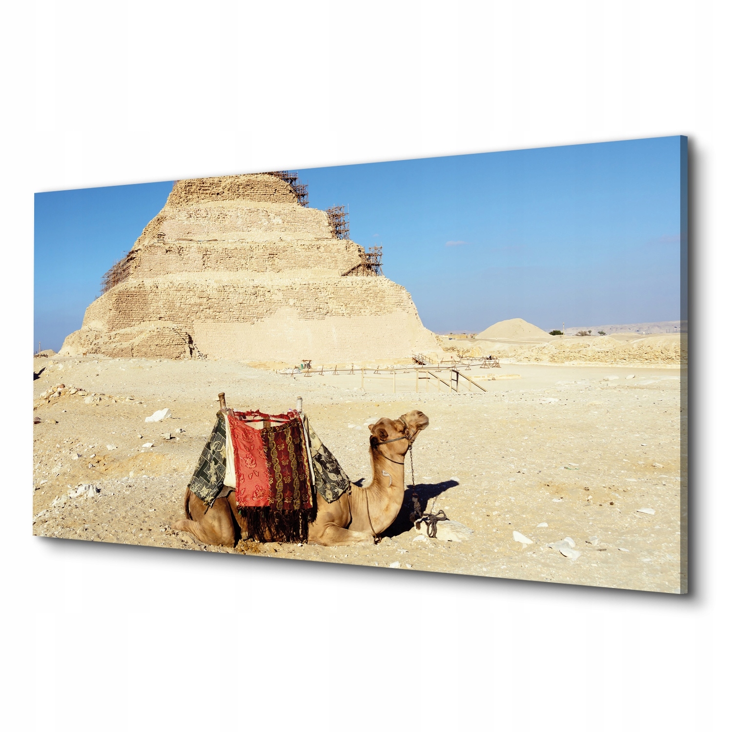 Fotoobraz obraz na plátně Velbloud pyramida 100x50