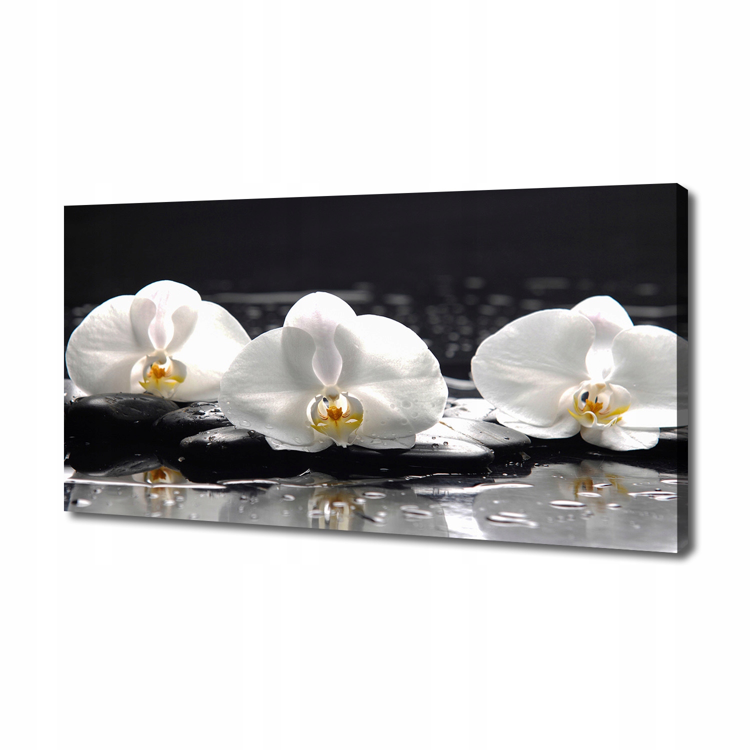 

Foto obraz canvas na ścianę Orchidea 140x70 cm