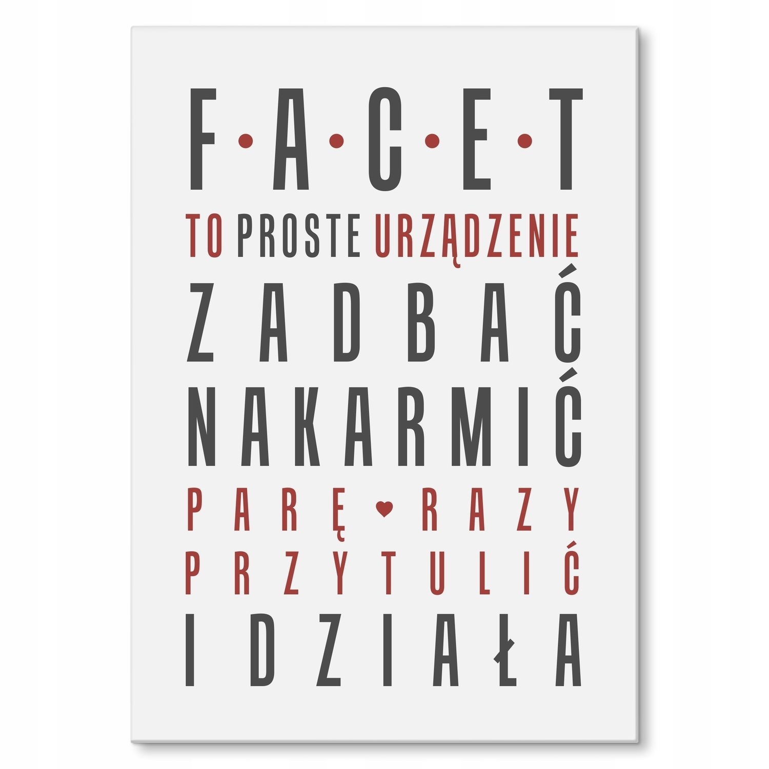 Kovový plakát Facet Dárek 42 x 59 cm