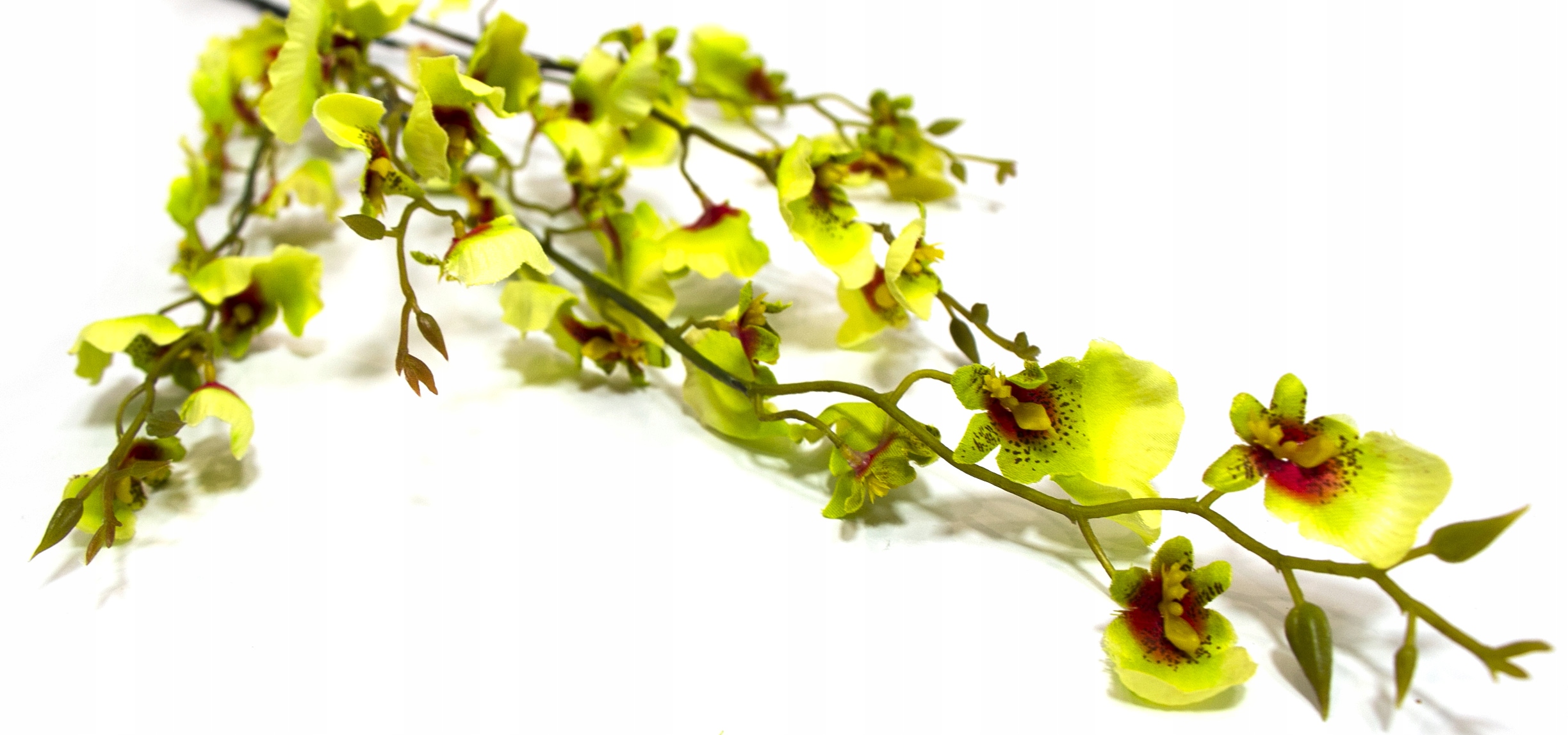 STORCZYK ONCIDIUM DŁUGA GAŁĄZKA ZIELONY 120cm Kod producenta L68