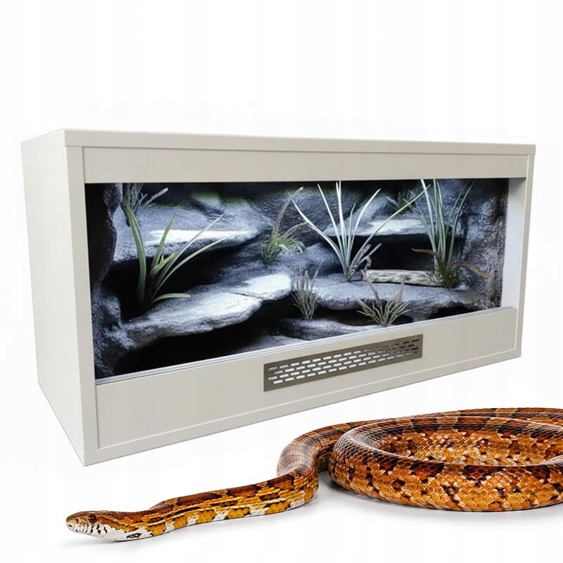 Terrarium dla Węża Zbożowego 80x40x40cm Biały