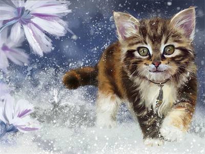 

Haft Diamentowy, mozaika Kotek